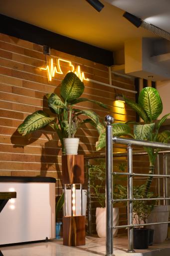 عکس کافی شاپ و خانه صبحانه باکس آفیس