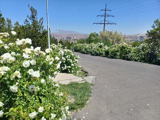 عکس تفرجگاه ایل باغی