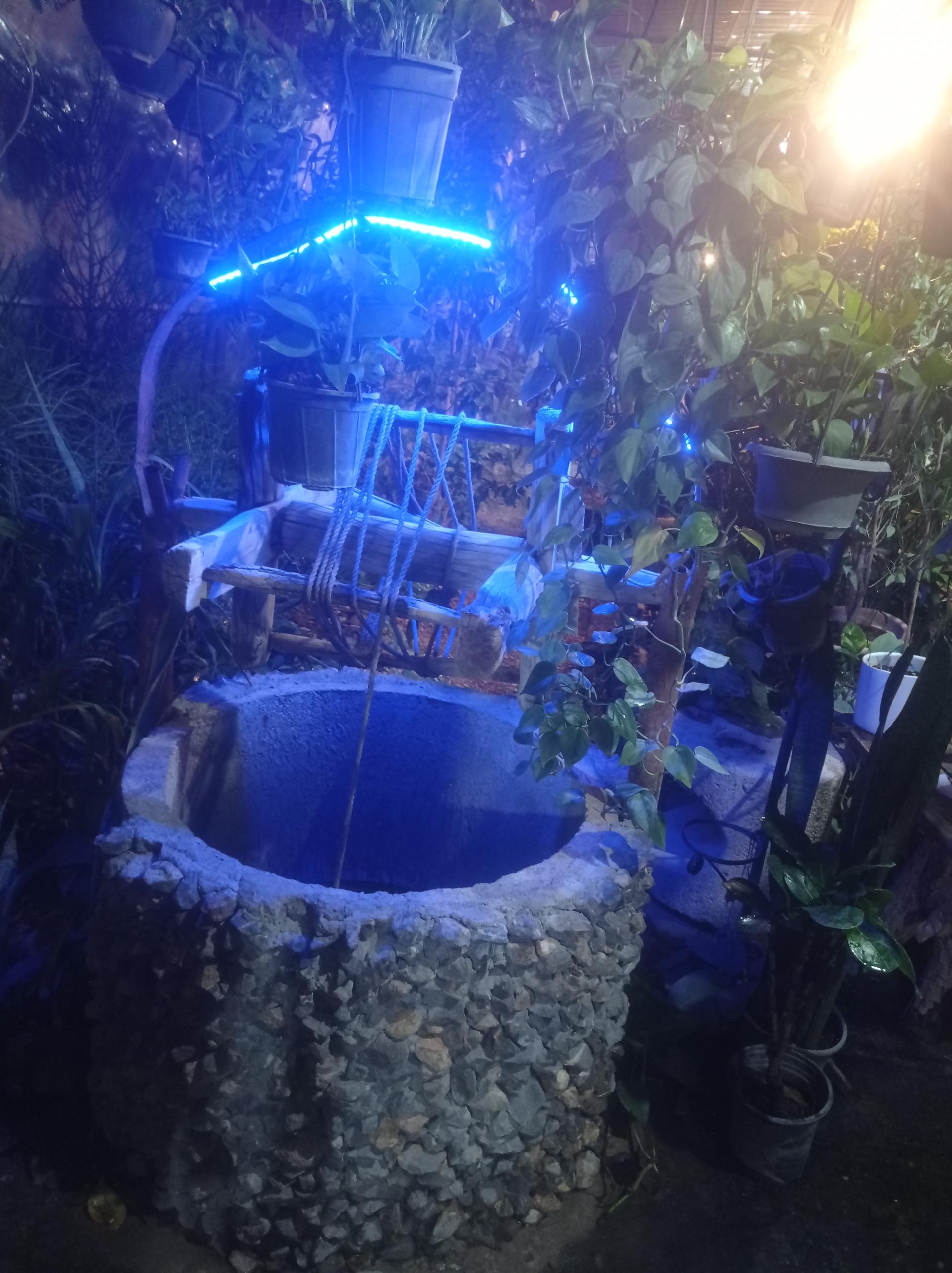 عکس گلخانه فانوس