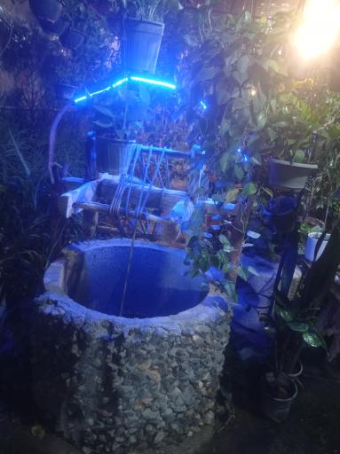 عکس گلخانه فانوس