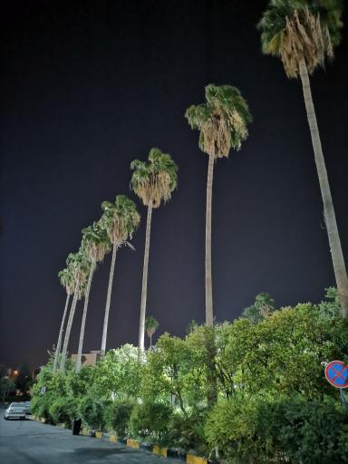 عکس ترمینال مسافربری شهید کاراندیش