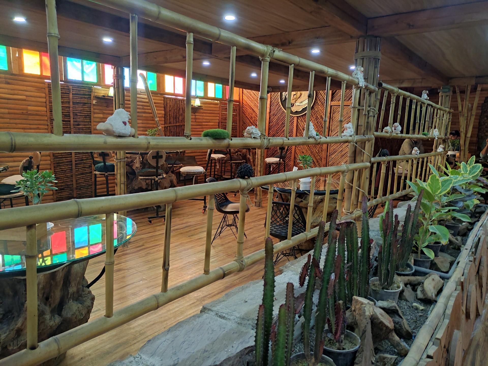 عکس دستوران دلنشین