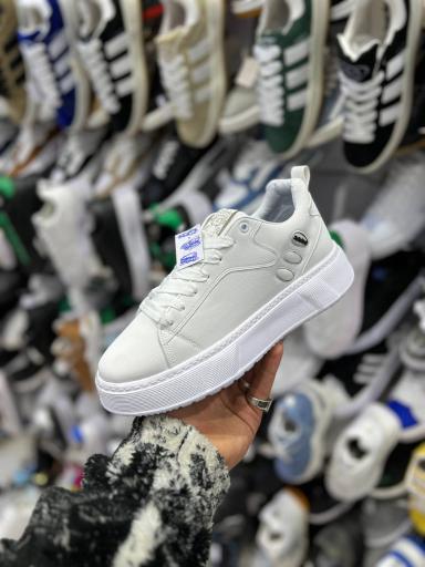 عکس دفتر فروش و پخش مجموعه گروه های تولیدی و پخش ویوان 