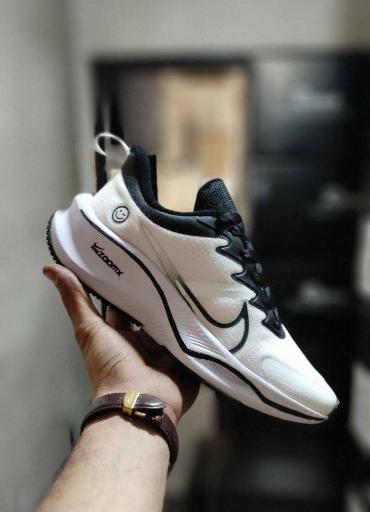 عکس دفتر فروش و پخش مجموعه گروه های تولیدی و پخش ویوان 