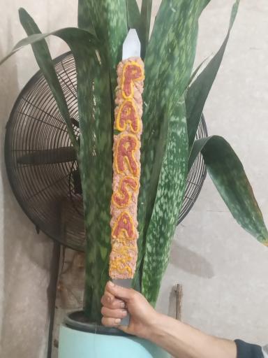 عکس کباب سرای پارسا