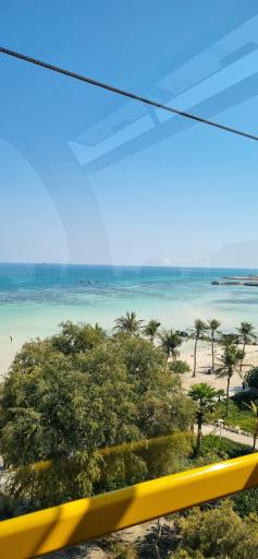 عکس ساحل درختان نارگیل