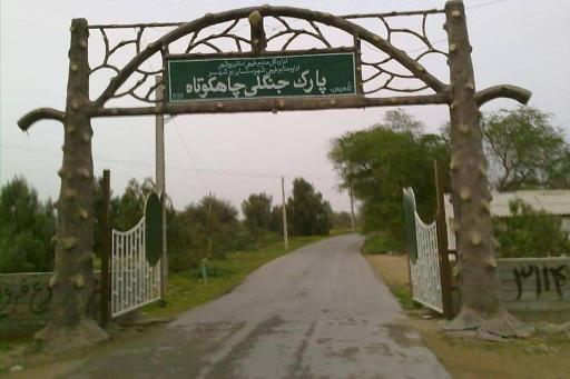 عکس پارک جنگلی چاهکوتاه