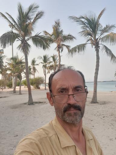 عکس ساحل درختان نارگیل