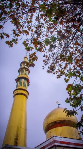 عکس بهشت جلالیه