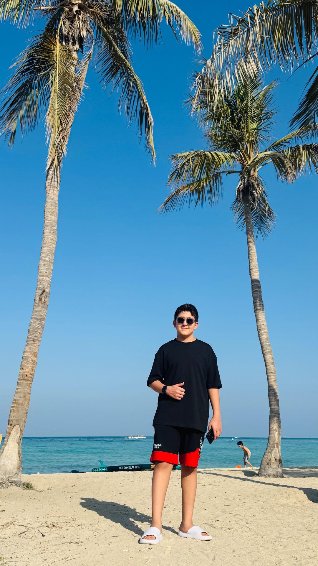 عکس ساحل درختان نارگیل