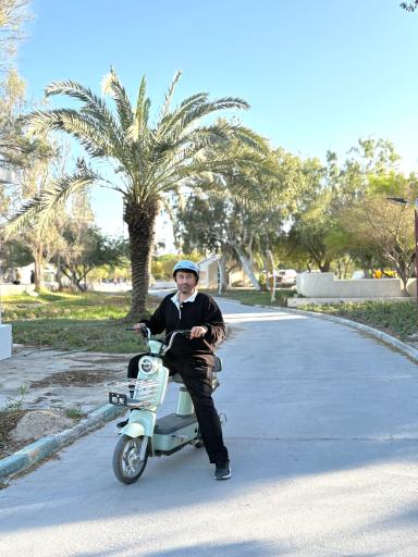 عکس ساحل درختان نارگیل