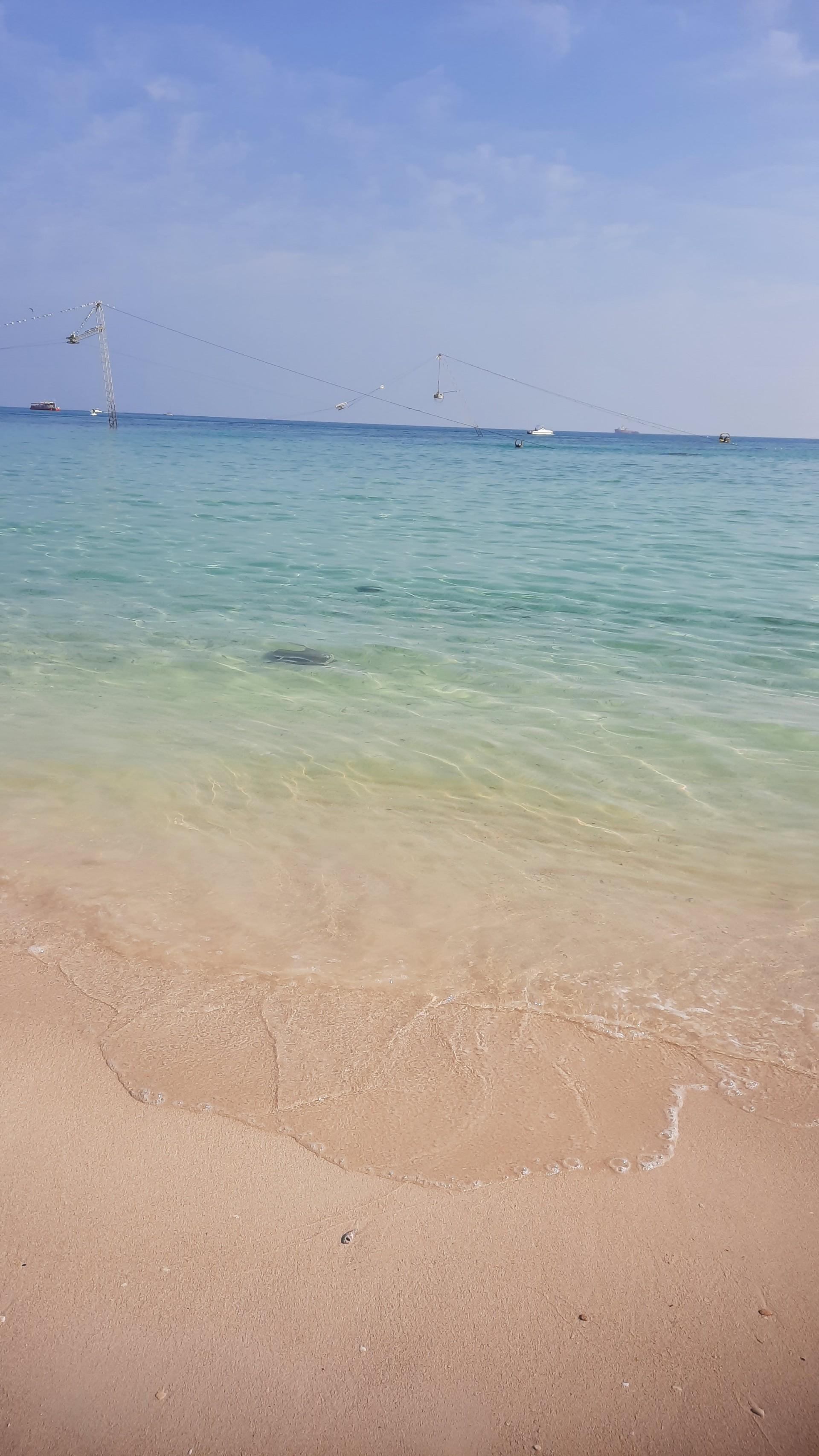 عکس ساحل درختان نارگیل