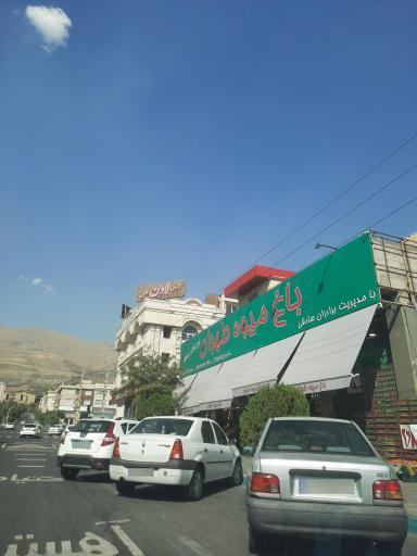عکس باغ میوه طهران