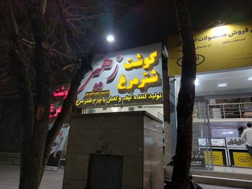 شترمرغ زهیر