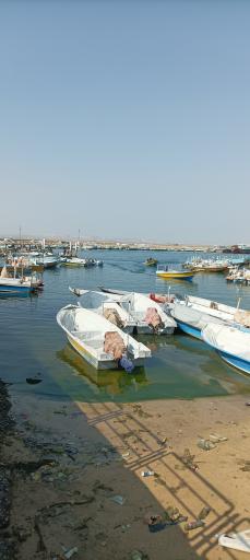 عکس اسکله کَندالو