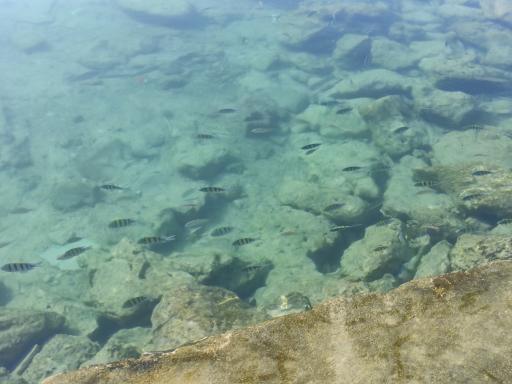 عکس اسکله کَندالو