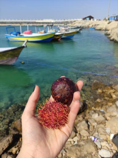 عکس اسکله کَندالو