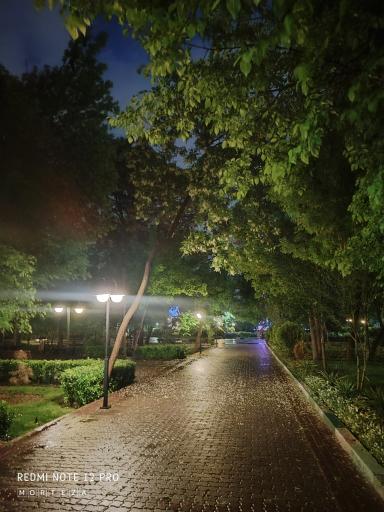 عکس باغ گلستان