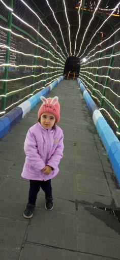 عکس باغ گلستان