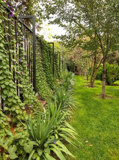 عکس باغ گلستان