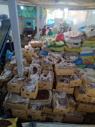 عکس کشمش فروشی سام تاک