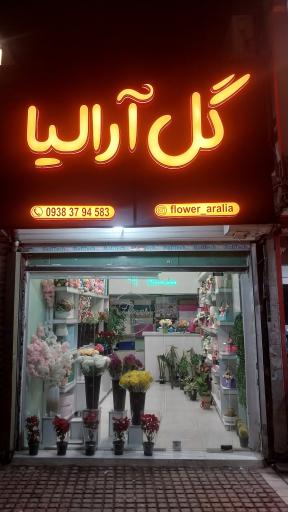 گل فروشی آرالیا