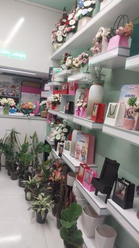 گل فروشی آرالیا