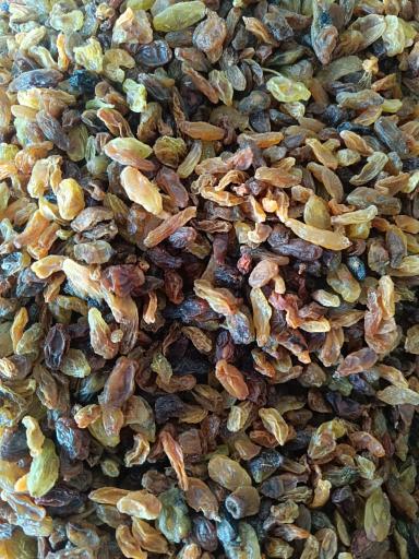 عکس کشمش فروشی سام تاک