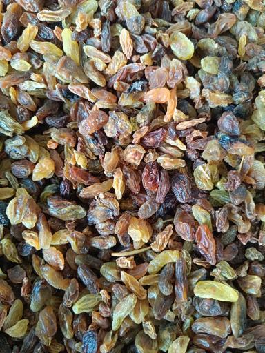 کشمش فروشی سام تاک