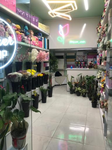 گل فروشی آرالیا