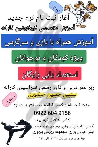 عکس آکادمی ایرانیان  (استاد سیرجانی)