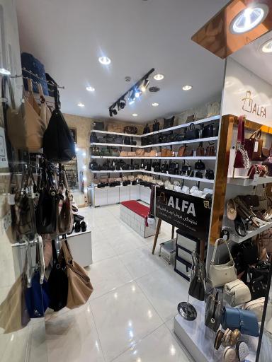 عکس نمایندگی آلفا جانباز