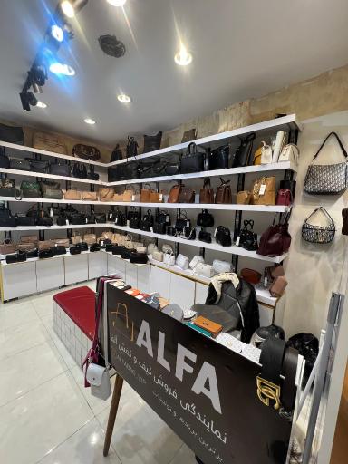 عکس نمایندگی آلفا جانباز