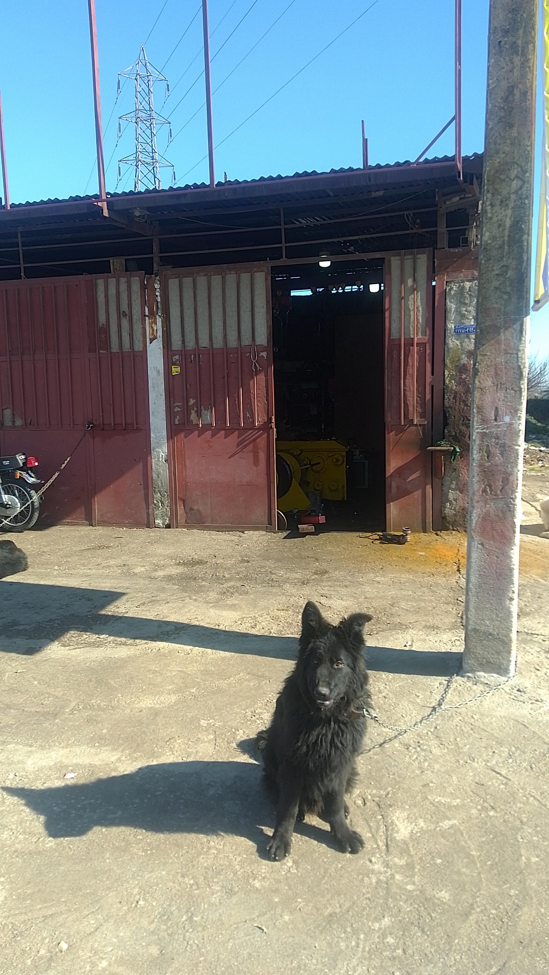 عکس خدمات فنی قادی