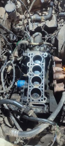 عکس جلوبندی علی