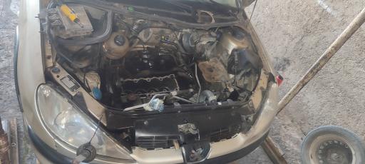 عکس جلوبندی علی