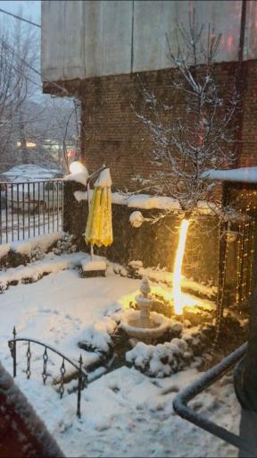 عکس کافه هوپ