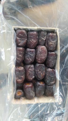 عکس خرمای جامی