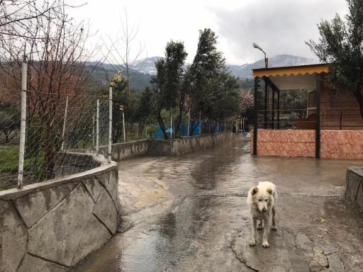 عکس ویلا باغ عمو ایرج 