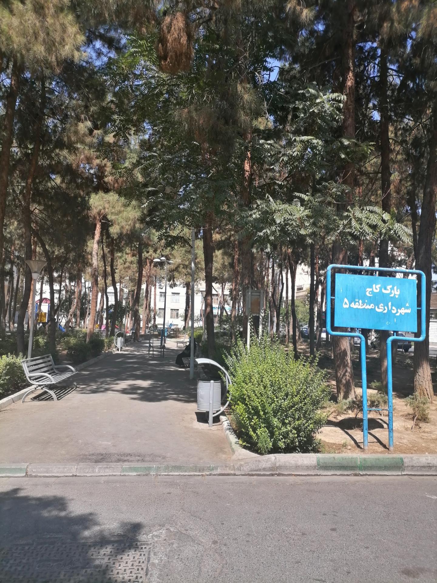 عکس پارک کاج