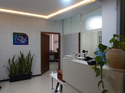 عکس کلینیک زیبایی روشا