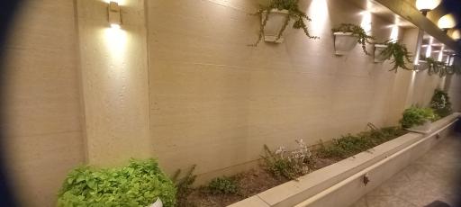 عکس بستنی تهران