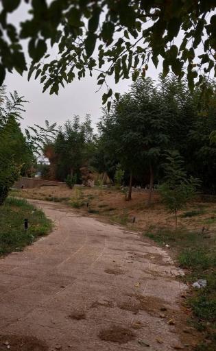 دانشگاه آزاد اسلامی واحد ورامین  پیشوا