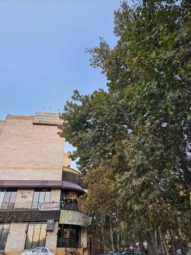 عکس مطب دندانپزشکی دکتر علی شاه علی 