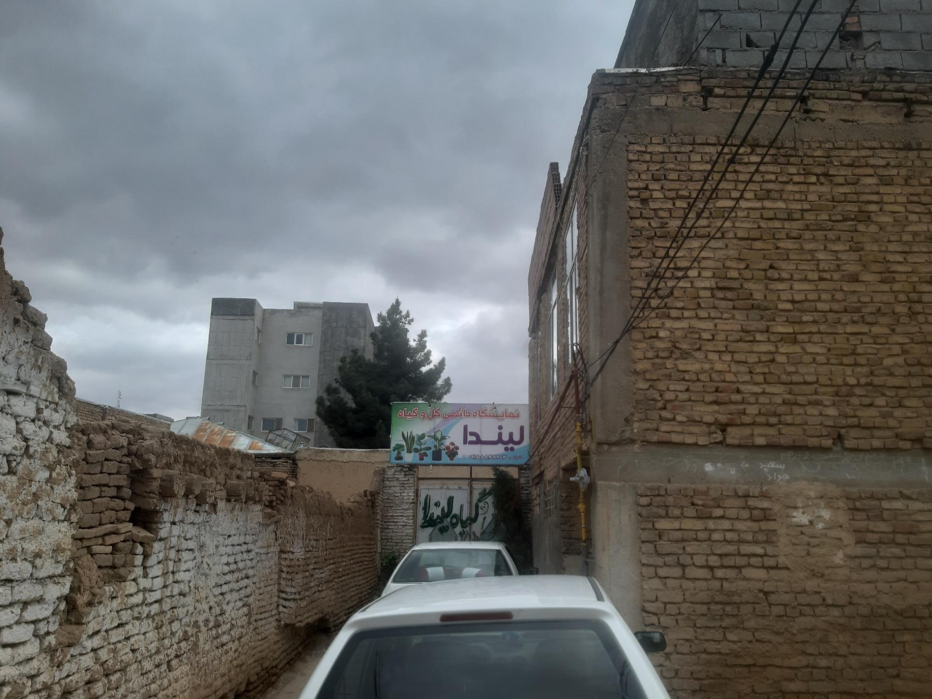 عکس نمایشگاه گل و گیاه لیندا