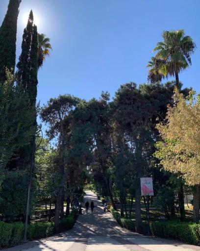 عکس پارک شهید شکری