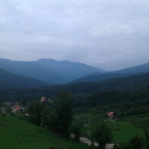 عکس جنگل سینوا