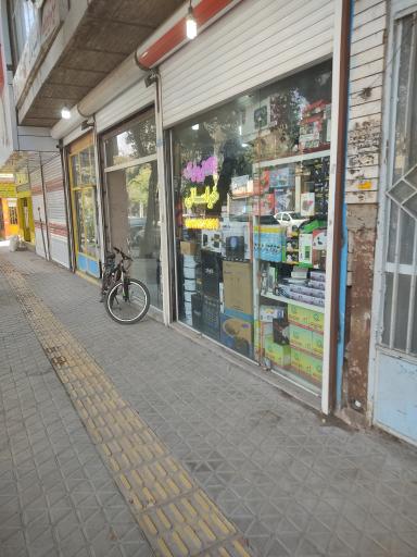 عکس الکتریک خراسانی