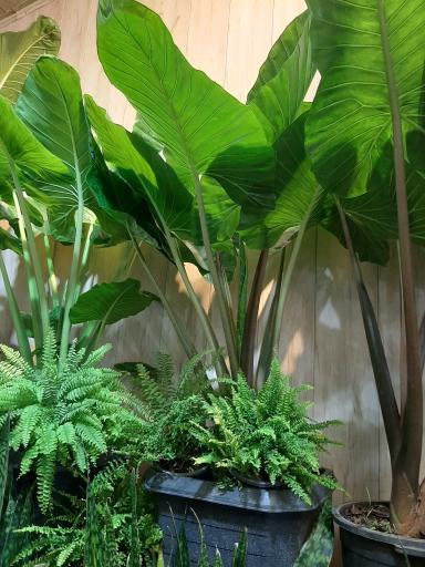 عکس آپارتمانی لند