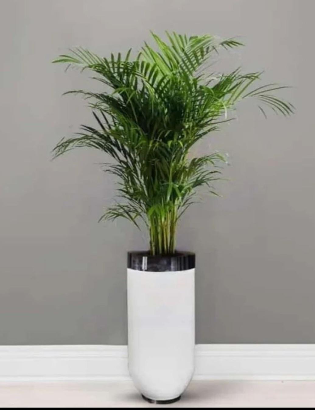 عکس آپارتمانی لند